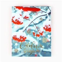 Пакет подарочный новогодний ламинированный «С Новым годом», MS 23×18×10 см