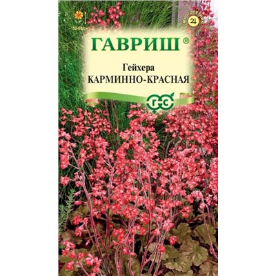 Гейхера (Хеухера) Карминно-красная (Гавр)