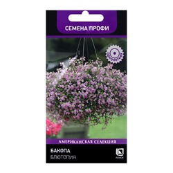 Семена цветов Бакопа Блютопия, 5шт
