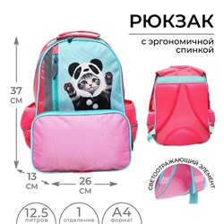 Рюкзак школьный, эргономичная спинка, 37×26×13 см «Котик панда»