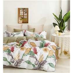 Текс-плюс КПБ Общий 00000000790