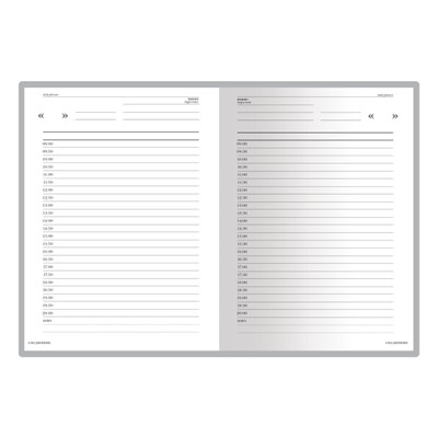 Ежедневник недатированный А6 бум/винил 3-030/1 бордовый Альт