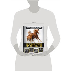 АСТ Спектор А.А. "Лошади. Большая визуальная энциклопедия"