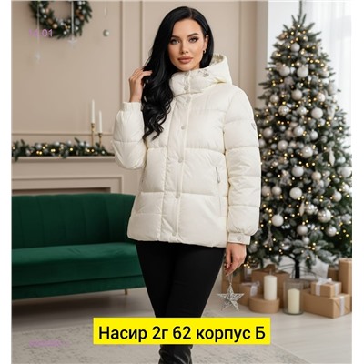 Куртка зима 2050080-1