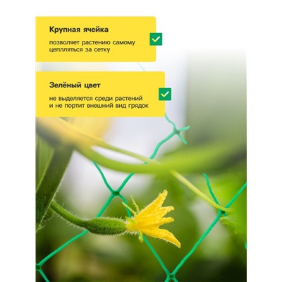 Сетка садовая для огурцов, шпалерная, 5×2 м, ячейка 15×15 см, Greengo