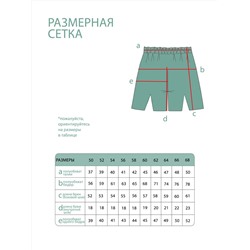 Шорты-5310