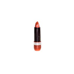 Rimmel Помада Lasting Finish Lipatick 210 Coral in Gold Тестер