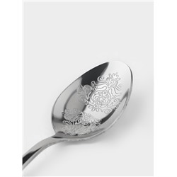 Набор чайных ложек Доляна «Эмили», длина 13.2 см, 6 шт., нержавеющая сталь, серебристый