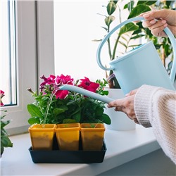 Лейка с длинным носиком, 1.2 л, без рассеивателя, голубая, Greengo