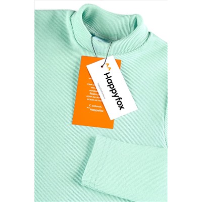 Детская базовая водолазка в рубчик Happyfox