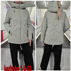 Куртка осень 1983627-2