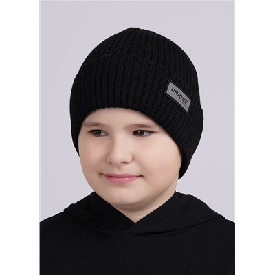 454897 CLEVER Шапка