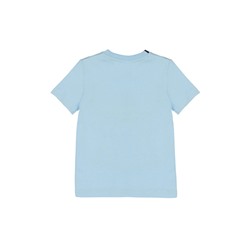 Фуфайка трикотажная для мальчиков (футболка)