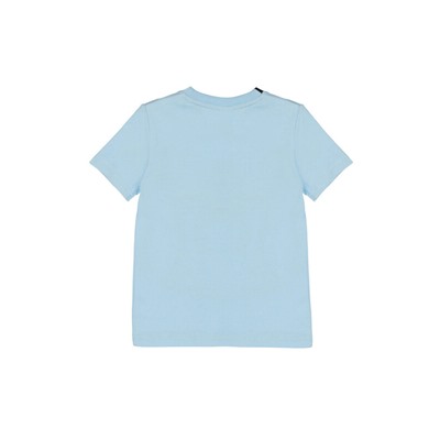 Фуфайка трикотажная для мальчиков (футболка)