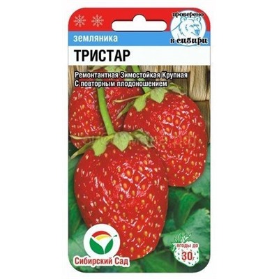 Земляника  Тристар (Сиб сад)