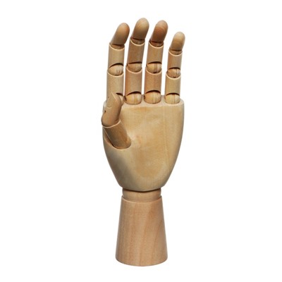 Модель деревянная, рука детская, левая, 18 см