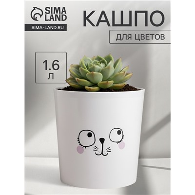 Кашпо для цветов «Мордочка», 1.6 л, d=14 см, h=14 см, пластиковое