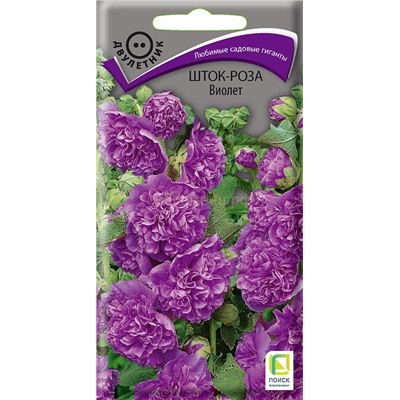 Шток-роза Виолет Дв  (П)