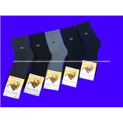 Термоноски мужские ВНУТРИ МАХРА верблюжья шерсть арт.1682