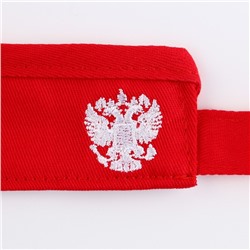 Козырек «President», цвет красный