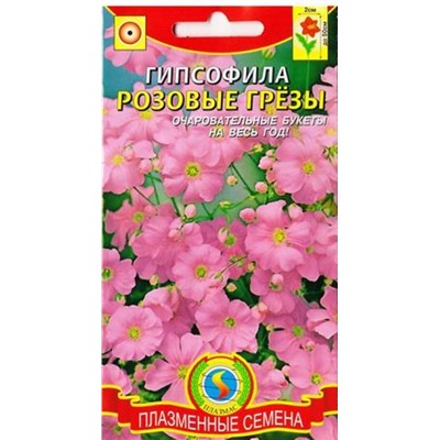 Гипсофила Розовые грезы (Код: 81864)
