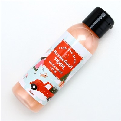 Гель для душа «Волшебной зимы», 100 мл, аромат малиновый пунш, Чистое счастье