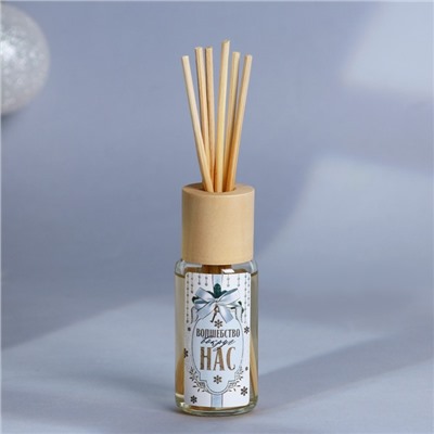 Диффузор ароматический палочки «Новогодняя коллекция: Почувствуй зимнюю сказку», аромат пломбира, 30 мл