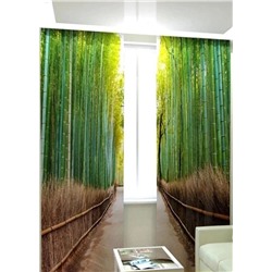 Фотошторы #23062484