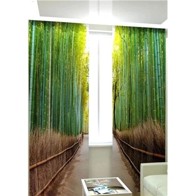 Фотошторы #23062484