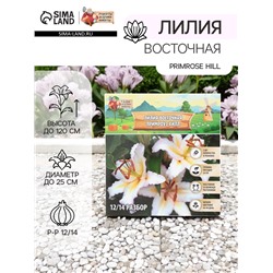 Лилия Восточная Primrose Hill, луковица в пакете с перфорацией, р-р 12/14, 2 шт.