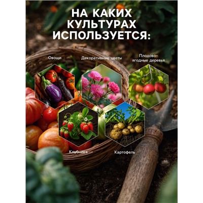 Средство от болезней растений «Флагрин-Д» (Нематодин), 100 г