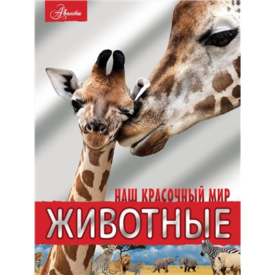 АСТ Вайткене Л.Д., Филиппова М.Д. "Животные"