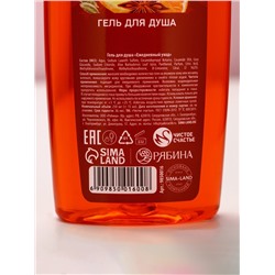Новогодний подарочный набор косметики «Чудес», гель для душа 250 мл и крем для рук 30 мл, Чистое счастье