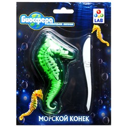 Познавательная анатомия, мини набор "Морской конек" 14х18см