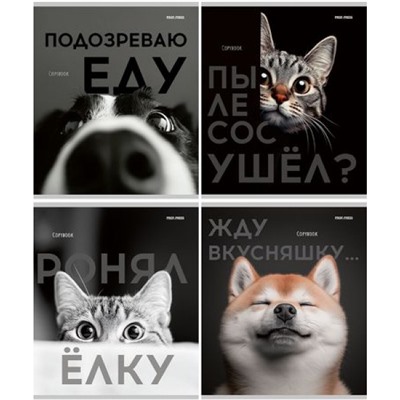 Тетрадь  48л клетка "ДОМАШНИЕ ЖИВОТНЫЕ И СМЕШНЫЕ ФРАЗЫ" Т48-4865 Проф-Пресс