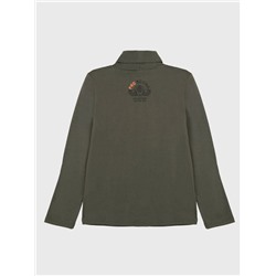 Водолазка трикотажная для мальчиков