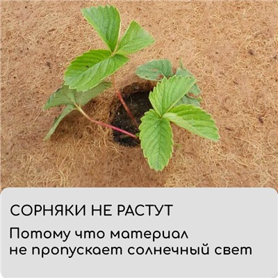 Круг приствольный, d=0.75 м, из кокосового полотна, набор 5 шт., «Мульчаграм»