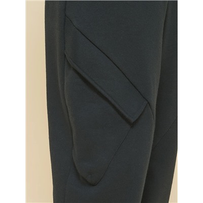 PELICAN Брюки BFPQ3335