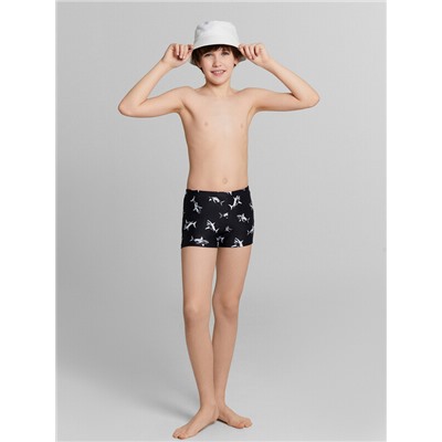 ТРУСЫ КУПАЛЬНЫЕ ДЛЯ МАЛЬЧИКОВ 703362