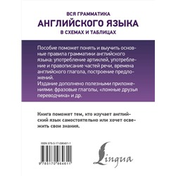 АСТ В. А. Державина "Вся грамматика английского языка в схемах и таблицах"
