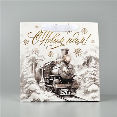 Пакет подарочный новогодний ламинированный квадратный «Новогодний поезд», 22×22×11 см