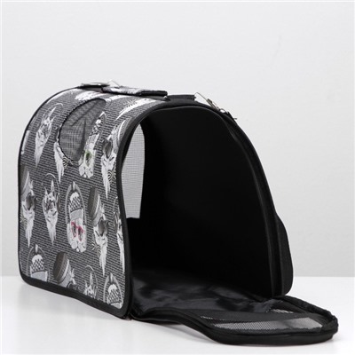 Сумка - переноска для животных «Зимние коты», размер M, 40×21×27 см