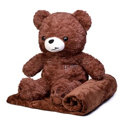 Мягкая игрушка "Медведь" с пледом (110х150)