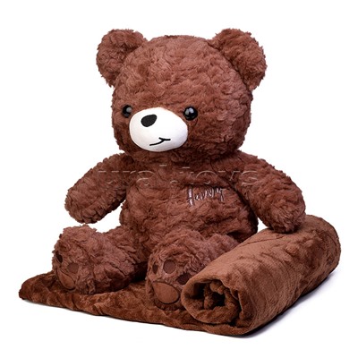 Мягкая игрушка "Медведь" с пледом (110х150)