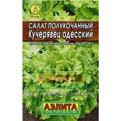 Салат Кучерявец Одесский Лидер (Аэлита)