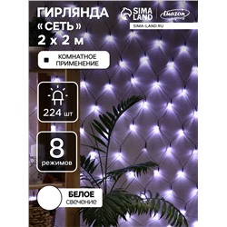 Гирлянда «Сеть» 2×2 м, IP20, тёмная нить, 224 LED, 8 режимов, 220 В, свечение белое