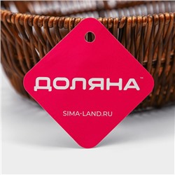 Корзинка для фруктов и хлеба Доляна «Огайо» 28×21×7.5 см, пластик, плетёная, овальная, коричневая