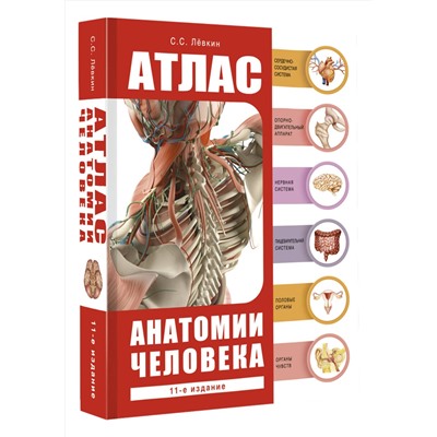 АСТ Лёвкин С.С. "Атлас анатомии человека"
