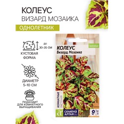 Семена цветов Колеус «Визард», мозаика, «Семена Алтая», цветной пакет, 5 шт.