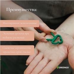 Набор для подвязки растений: прищепки большие (6.5 см) - 10 шт., прищепки малые (4.5 см) - 10 шт., Greengo